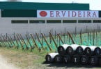 Adega da Ervideira cresceu em 2011 graças à exportação