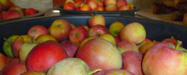 Fruta Feia quer aproveitar desperdícios dos supermercados