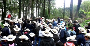 Água Serra da Estrela e IKEA cultivam árvores em Portugal