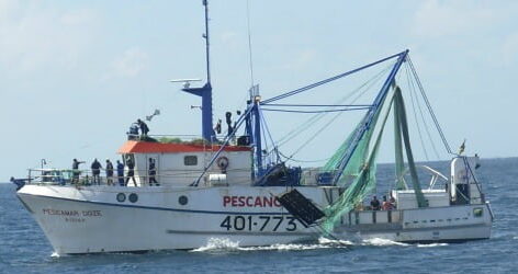 Pescanova é das empresas de produtos do mar mais sustentável do mundo