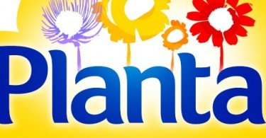 Planta Sabor a Manteiga oferece carregamentos de 10 euros no telemóvel