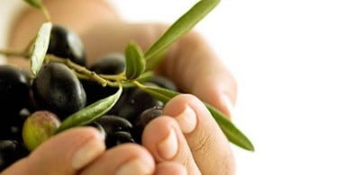 Portugal DOP dá a conhecer produtos com denominação DOP