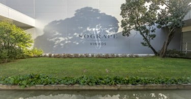 Sogrape Vinhos eleita a quarta melhor produtora mundial