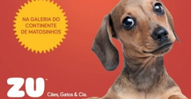 Sonae cria formato de loja para animais