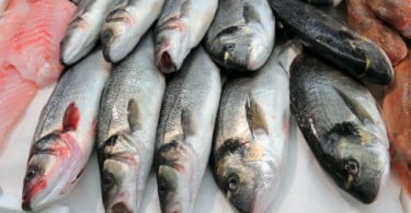 Portugal e Espanha assinam acordo bilateral de Pescas