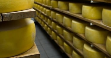 Laticínios do Paiva compra fábrica em Palmela