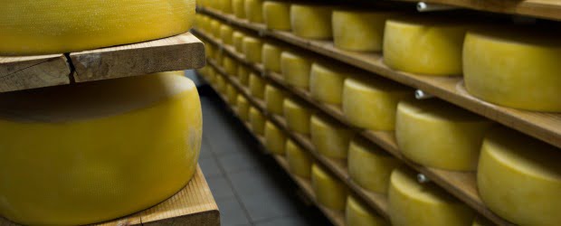 Laticínios do Paiva compra fábrica em Palmela