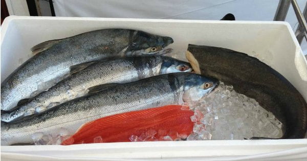 Makro com exclusivo da Alaska Seafood