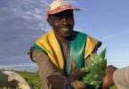 Unilever adquire certificado para óleo de soja sustentável