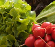 Sarkozy acorda com a grande distribui&ccedil;&atilde;o