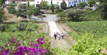 Monte da Ravasqueira quinta