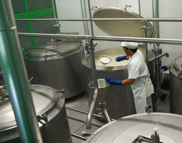 Montiqueijo unidade de produção