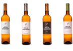 vinhos