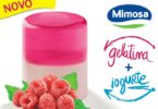 mimosa iogurte magro e gelatina Distribuição Hoje