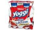 iogurtes sem lactose