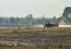 fertilização Vida Rural
