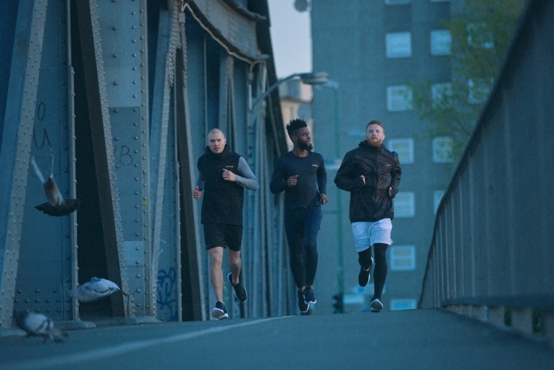 Ibrahimovic marca de desporto Distribuição Hoje