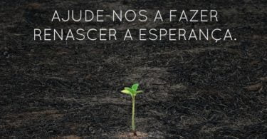 Worten campanha de apoio às vítimas dos incendios Distribuição Hoje