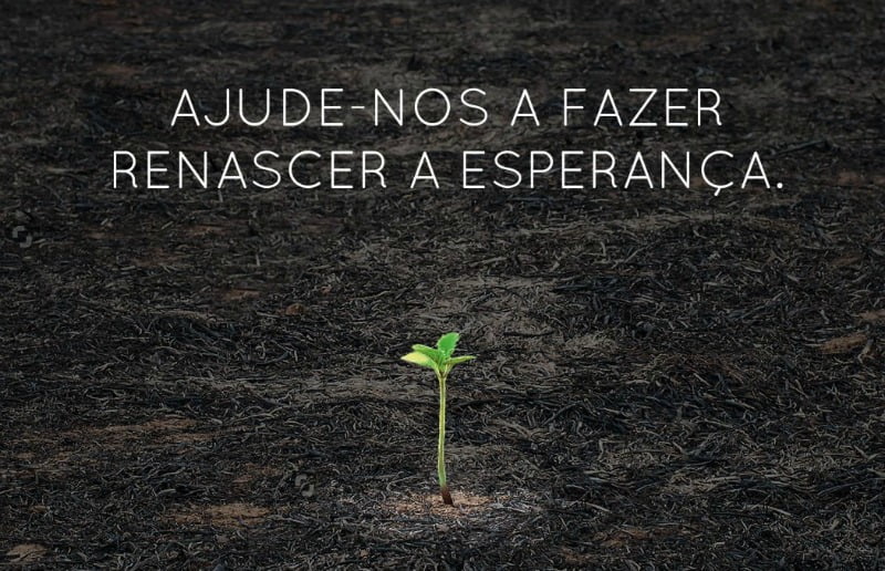 Worten campanha de apoio às vítimas dos incendios Distribuição Hoje