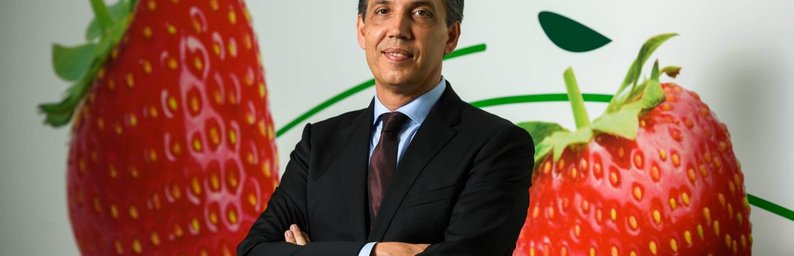João Miranda CEO Grupo Frulact Distribuição Hoje