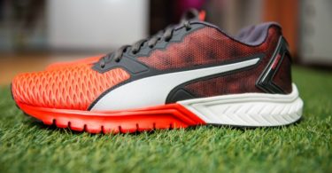 Puma Distribuição Hoje