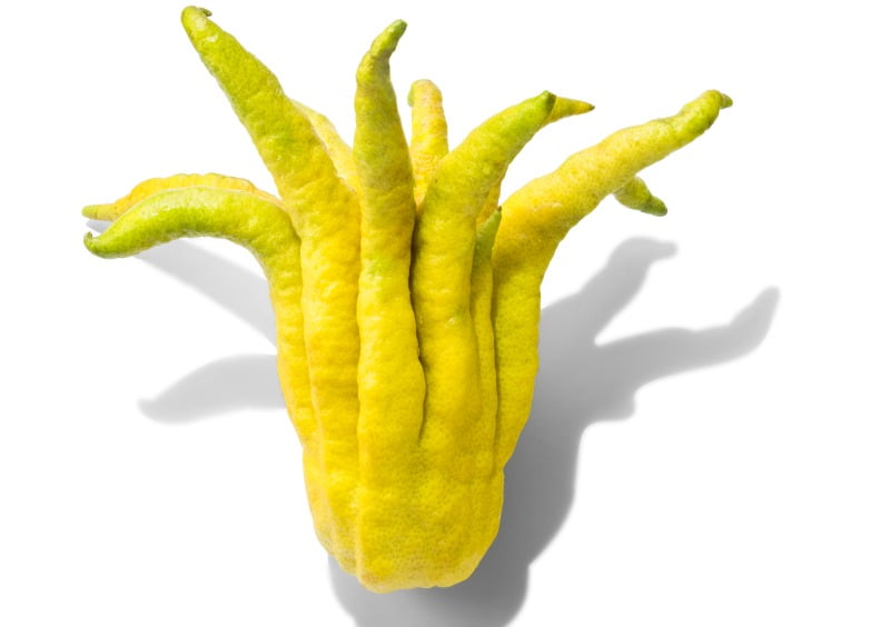 citrinos ancestrais Makro