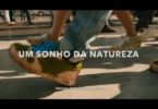 Strongbow – Um sonho da natureza