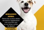 cão Alegro Alfragide Distribuição Hoje