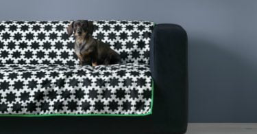 IKEA cria gama para animais em parceria com veterinários