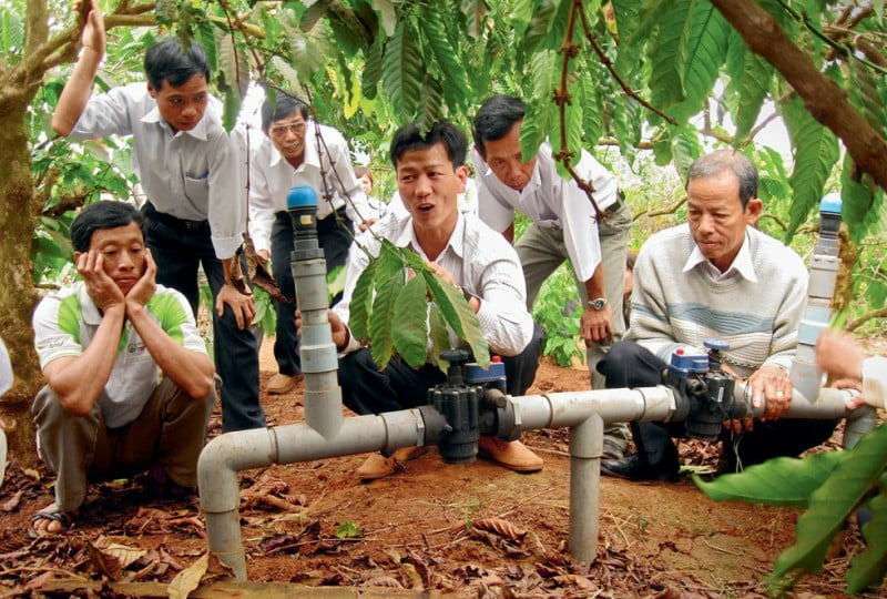 Nestlé vai apoiar projetos que respondam a desafios de nutrição, água e desenvolvimento rural