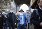 PITTI IMMAGINE UOMO   THE TRADESHOW