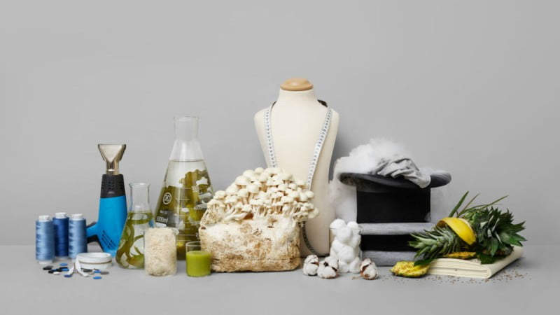 H&M Foundation premeia ideia para criar têxteis com sobras de alimentos