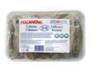 Pescanova lança Lula Patagónica