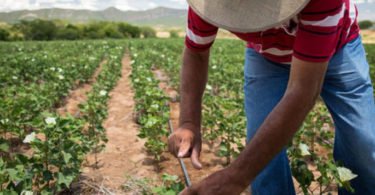 Colaboradores da C&A apoiam desenvolvimento sustentável com 1 M€