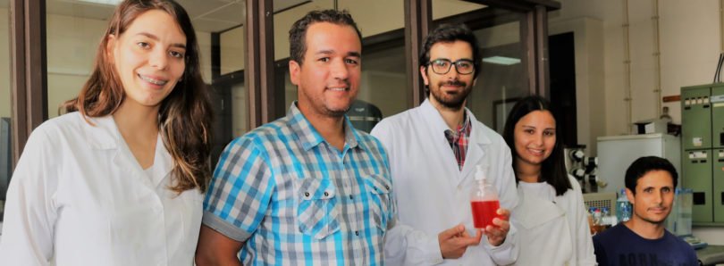 Startup nacional obtém financiamento para desenvolver detergentes ecológicos a partir de óleos alimentares usados