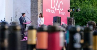 Já são conhecidos os melhores vinhos do Dão