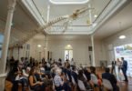 Sonae investe 300 mil euros na Galeria de Biodiversidade da Universidade do Porto