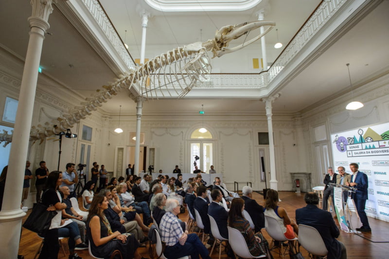 Sonae investe 300 mil euros na Galeria de Biodiversidade da Universidade do Porto