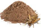Nutrix desenvolve ‘proteína sustentável’ à base de insetos