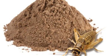 Nutrix desenvolve ‘proteína sustentável’ à base de insetos