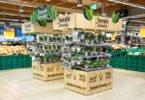 Loja Auchan de Sintra recebe certificação ambiental