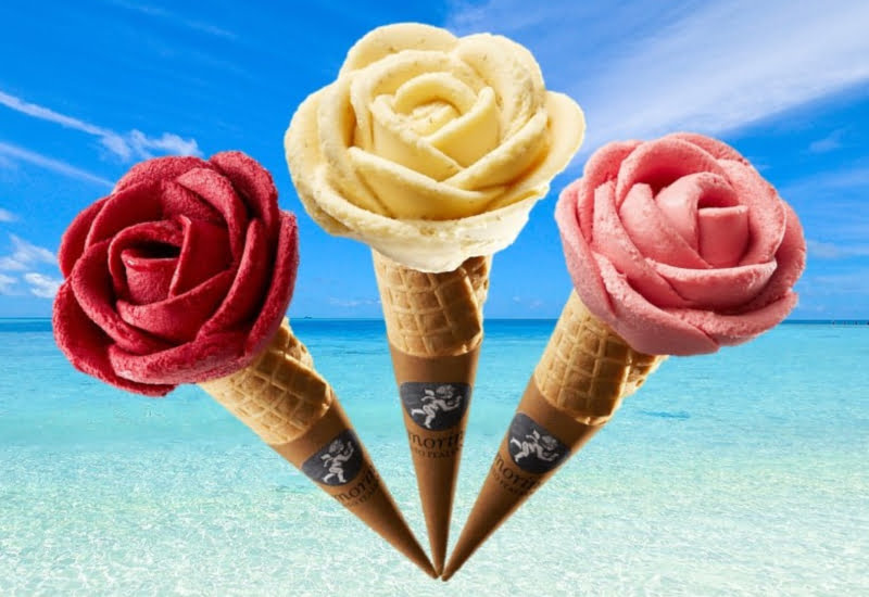 Amorino lança trio de gelados vegan