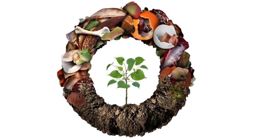 Comissão Europeia adota metodologia comum para prevenir o desperdício alimentar e promover a economia circular