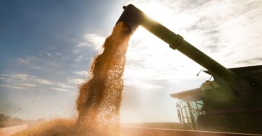 Indústria agro-alimentar portuguesa deverá ultrapassar os 17 mil milhões de euros em volume de negócios