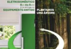 Worten planta 4100 árvores em 2018