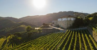 Nasce a Kranemann Wine Estates