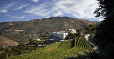 Nasce a Kranemann Wine Estates