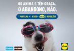 Lidl promove campanha contra o abandono de animais