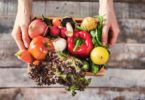 Espanha já representa 30% das exportações de frutas, legumes e flores nacionais