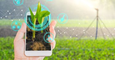 Sustentabilidade será o core da alimentação do futuro